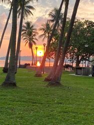 Loyang Terrace (D17), Semi-Detached #627915961